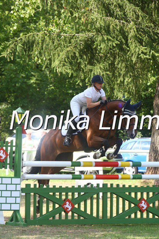 308M3747_Chacco De Semilly_Springpferde Mx.JPG